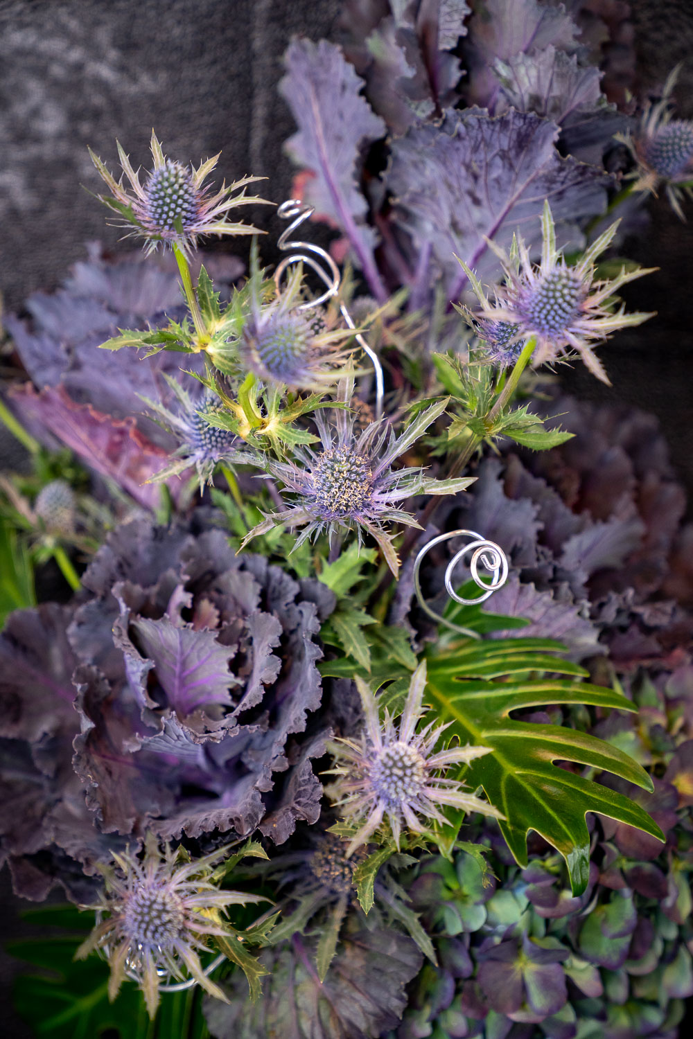 Aranjament floral Brassica