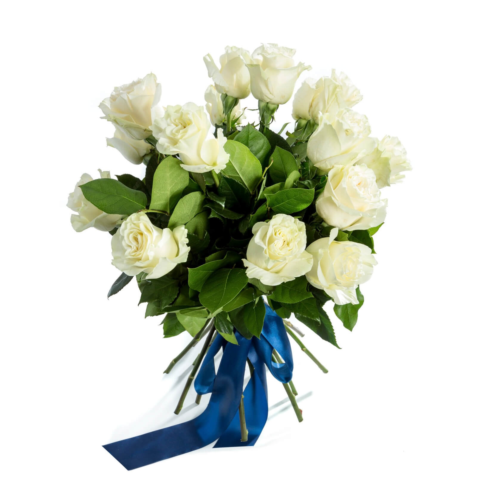Buchet 15 Trandafiri Albi - Trandafiri