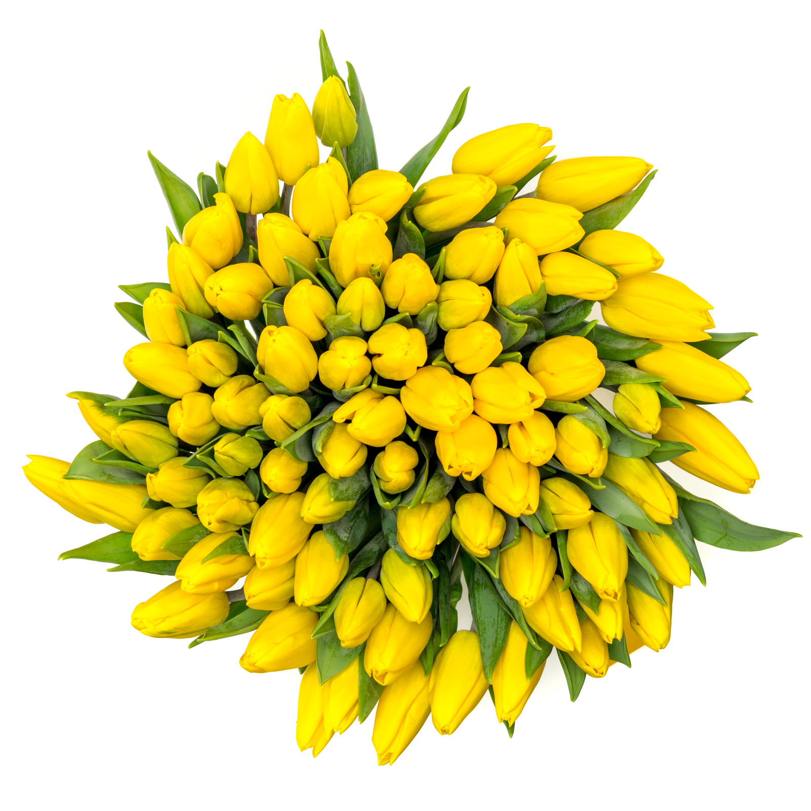 Buchet 99 lalele - Lalea