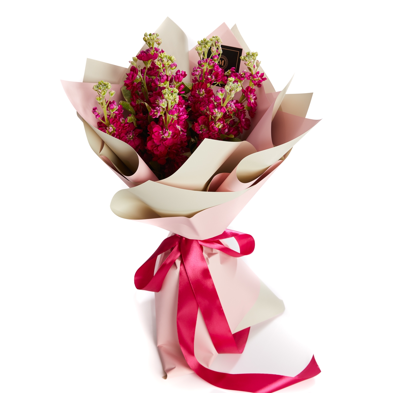 Buchet de flori 9 matthiola cyclam - Matthiola