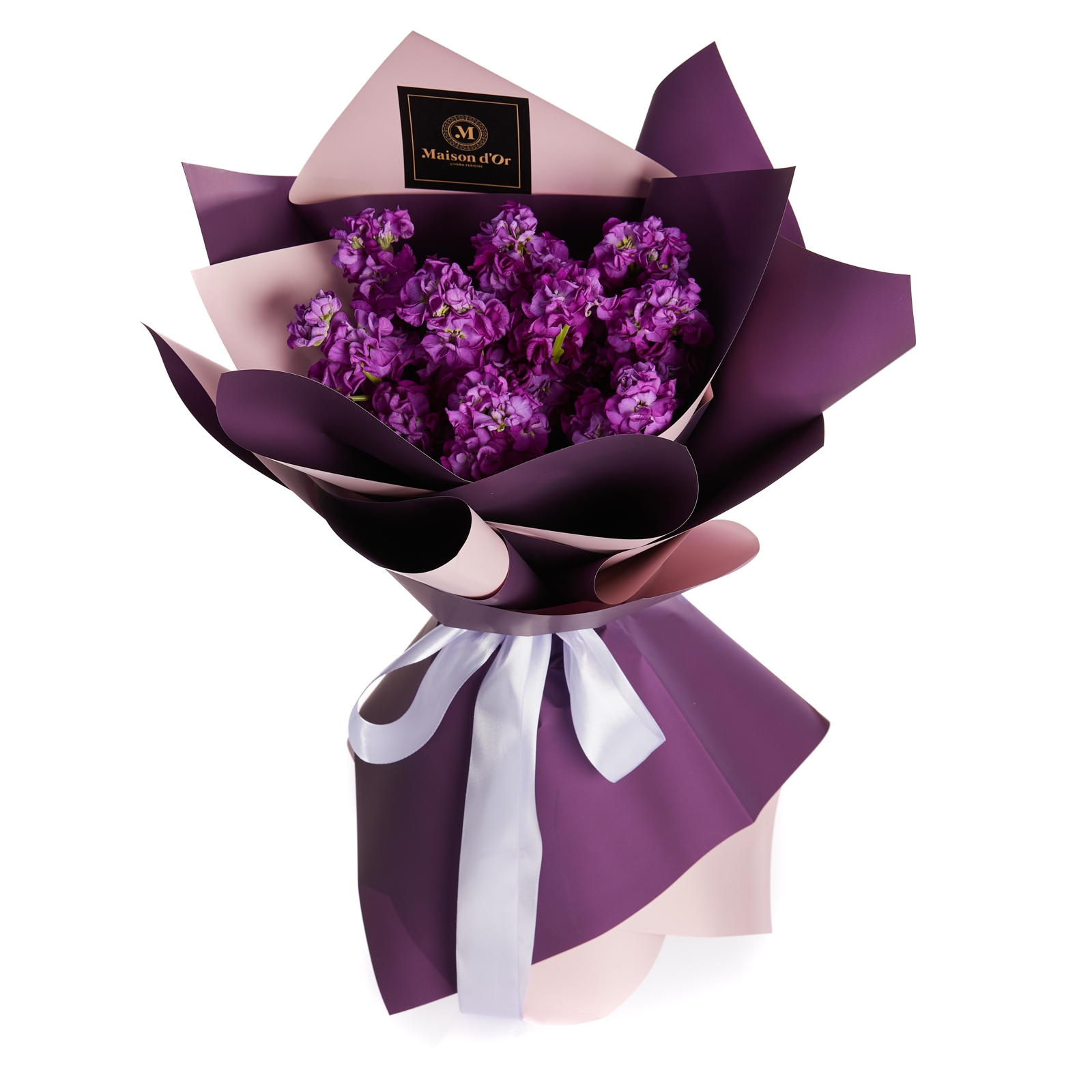 Buchet de flori 9 matthiola mov - Matthiola
