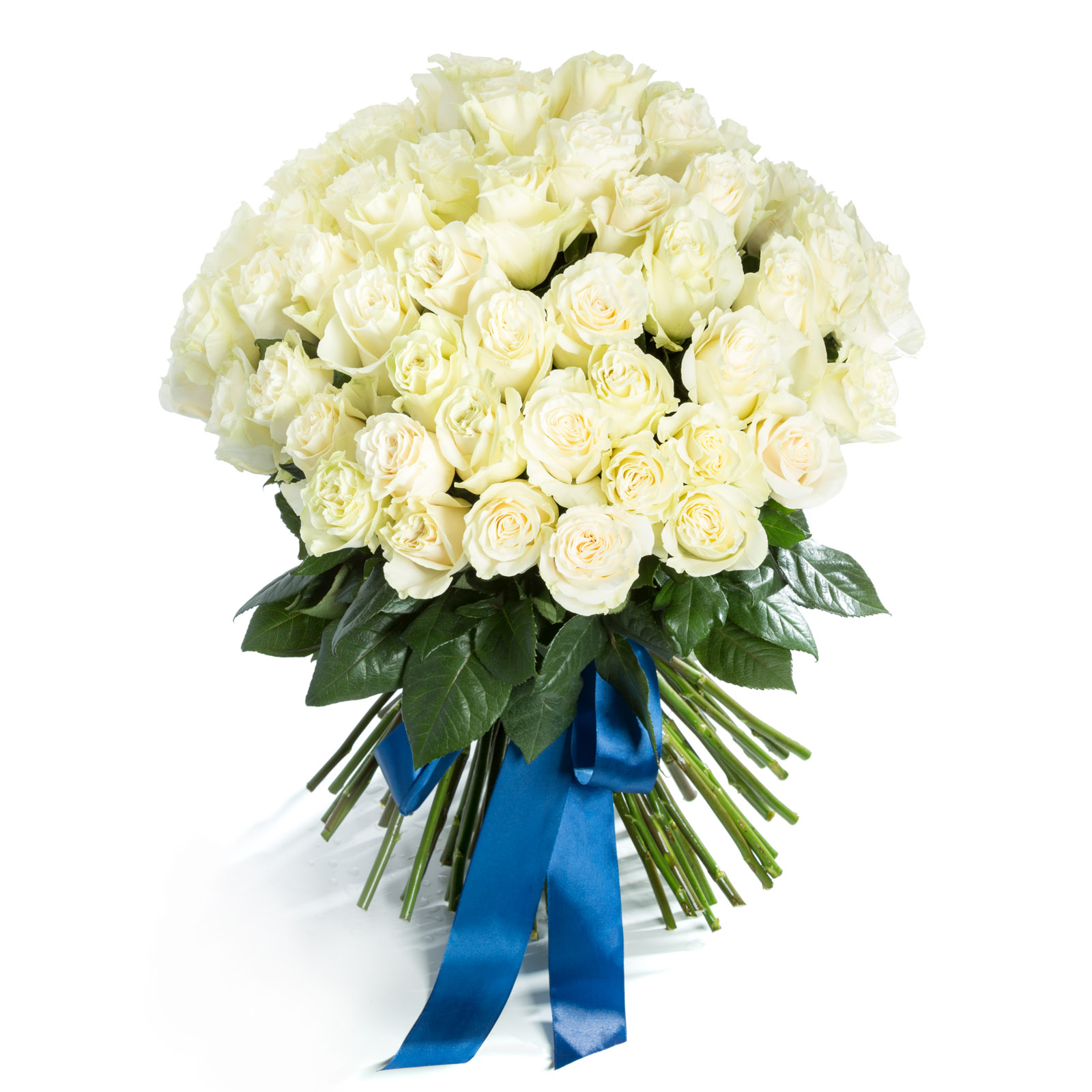 Buchet 75 trandafiri albi - Trandafiri