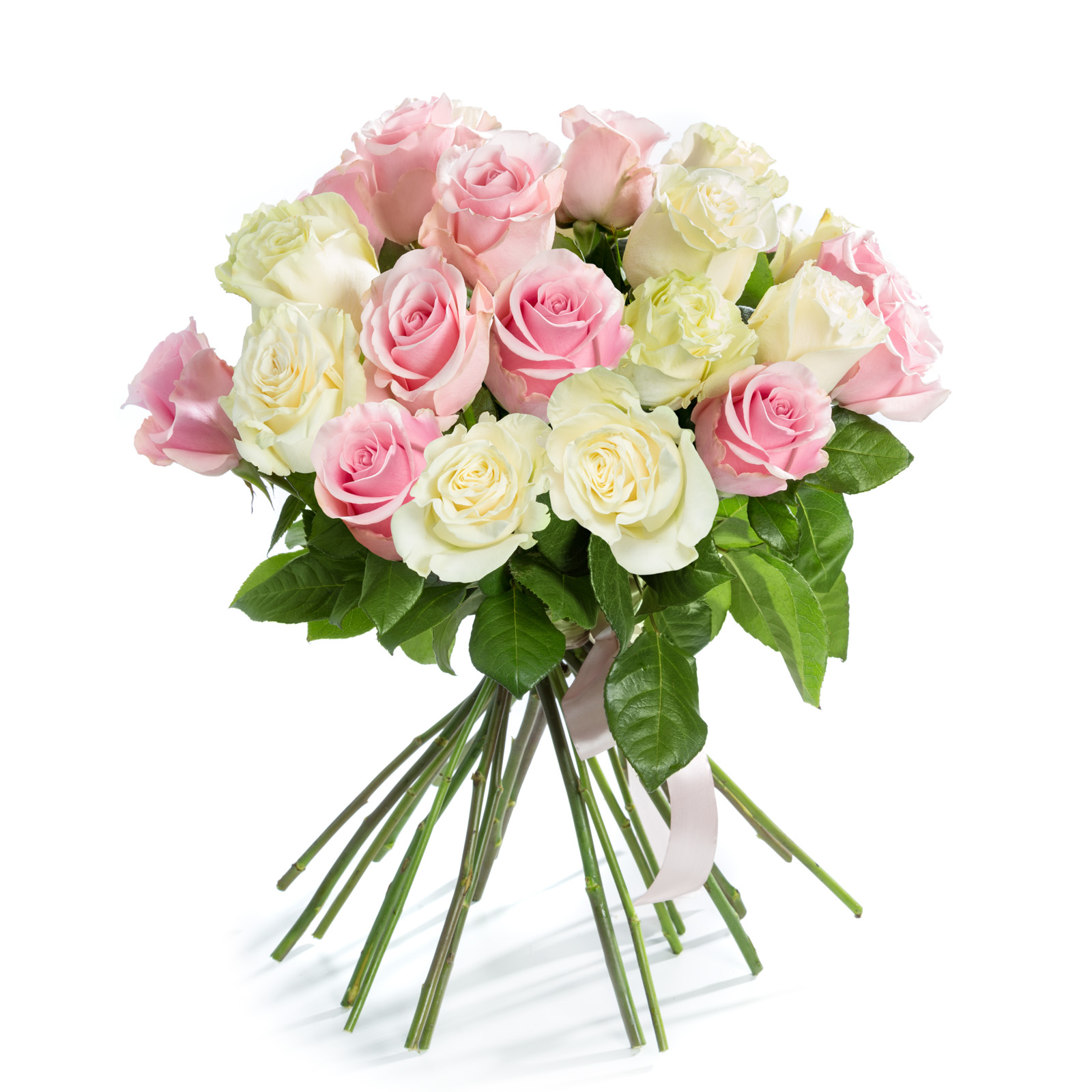 Buchet 21 Trandafiri Roz si Albi - Trandafiri
