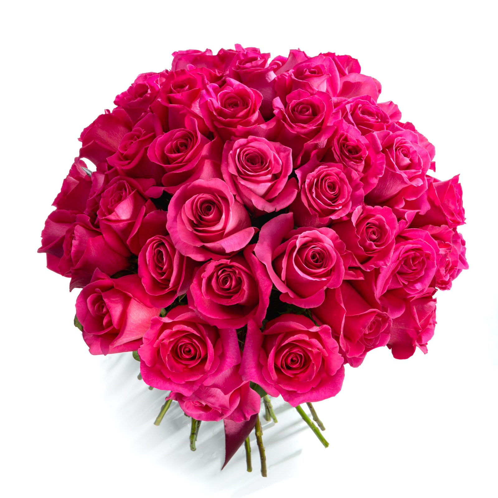 Buchet 49 trandafiri cyclam - Trandafiri