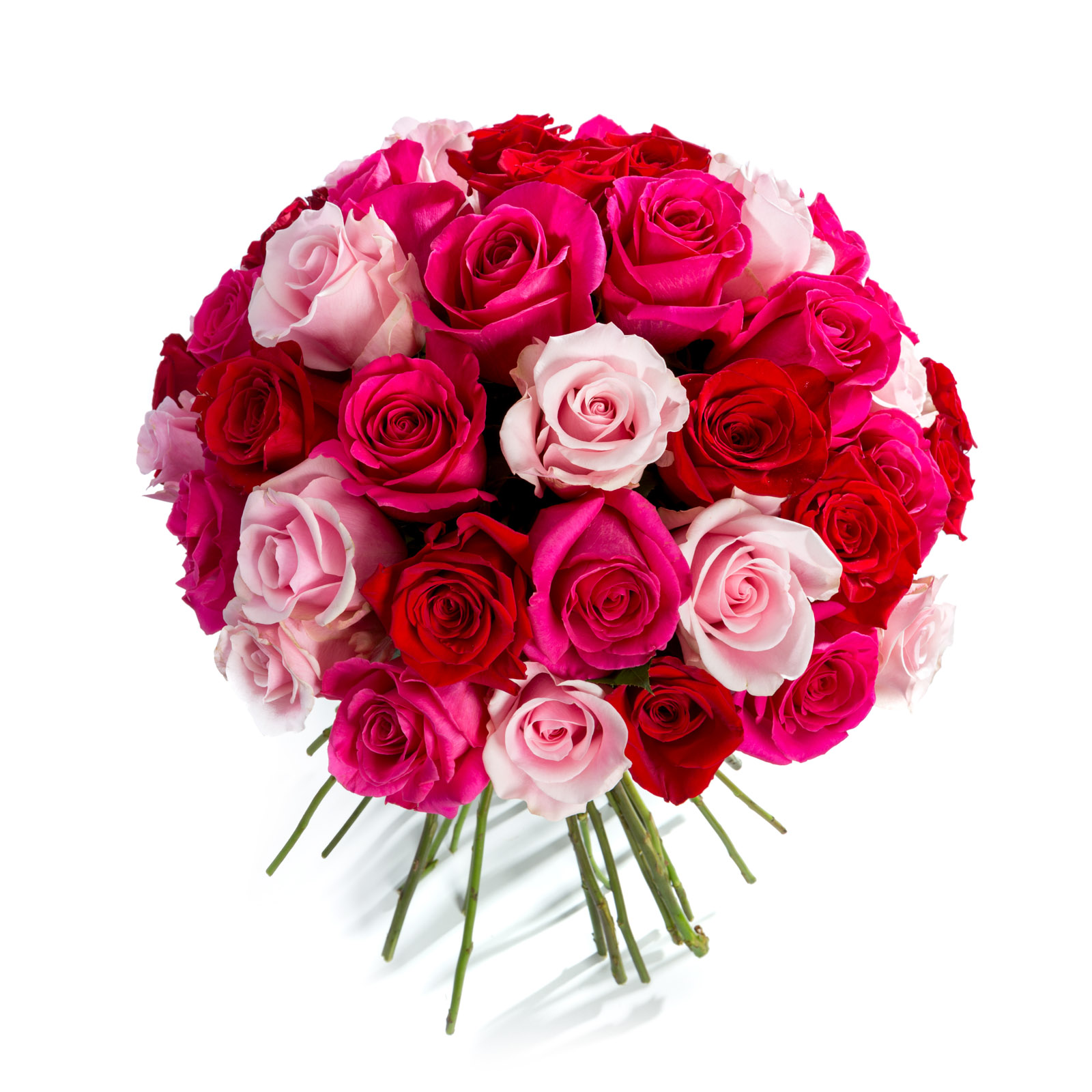 Buchet 49 Trandafiri Multicolori - Trandafiri