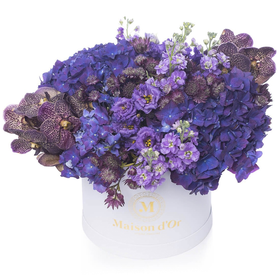 Colectia Desire- Cutie cu matthiola,hortensie si orhidee - Astrantia|Hortensie|Lisianthus|Matthiola|Phalaenopsis orhidee