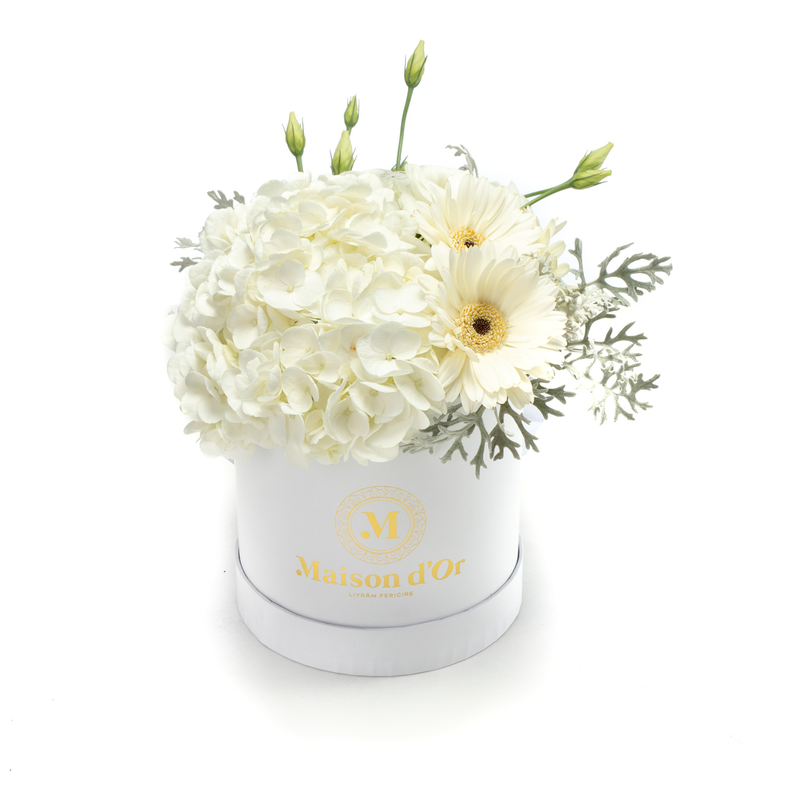 Cutie lisianthus alb si minigerbera - Gerbera|Germini|Hortensie|Lisianthus