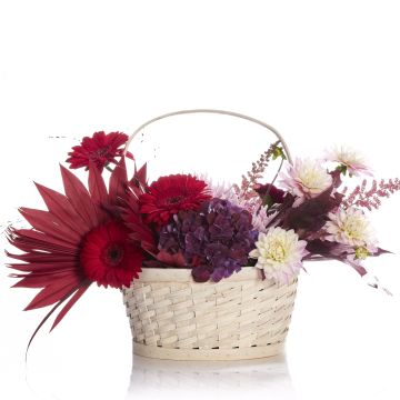 Floral arrangement in the basket with hydrangea and garnet germ