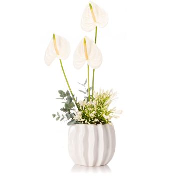 Aranjament floral cu agapanthus si anthurium alb 