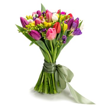 Bouquet of tulips and multicolored freesias