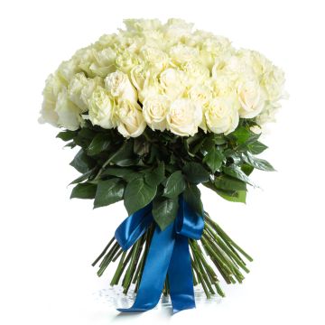 Bouquet of 75 white roses