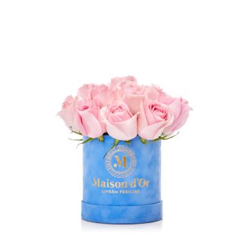 Box of 23 blue roses