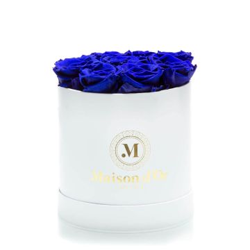 Box of 9 blue cryogenic roses