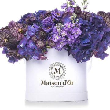 Desire Collection - Box with matthiola, hydrangea and orchids