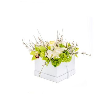 Box with white freesia and white buttercup