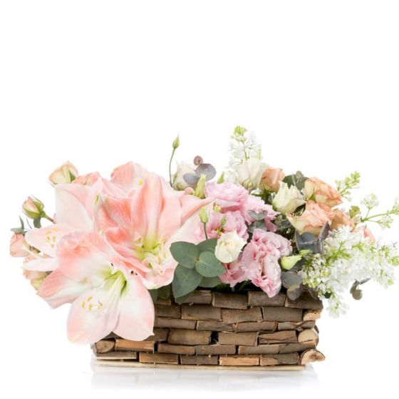 Floral arrangement in basket with amaryllis and cream mini rose
