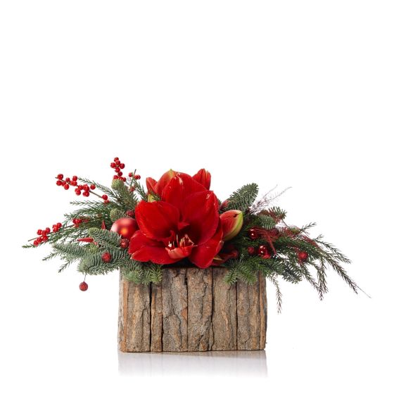 Aranjament floral in cos cu amaryllis		