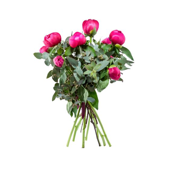 Bouquet of 9 cyclam peonies