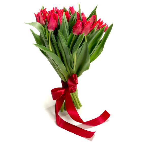 Buchet de flori 25 lalele rosii