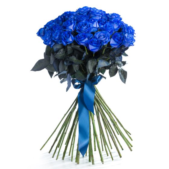 Bouquet of 39 blue roses