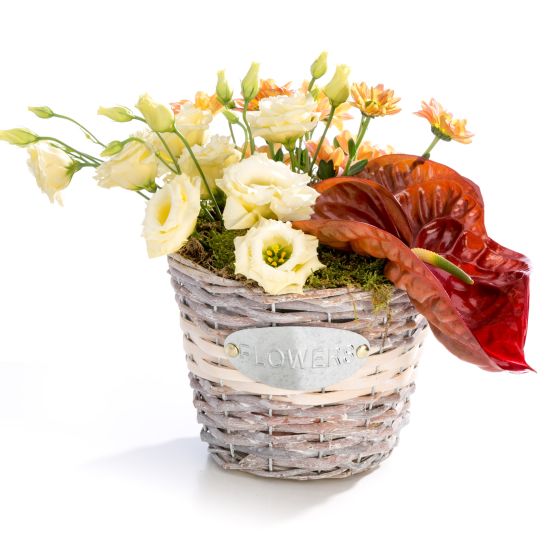 Floral arrangement in basket from lisianthus, anthurium, chrysanthemum