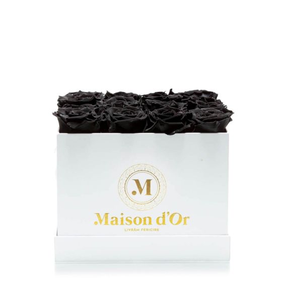 Box of 17 black cryogenic roses