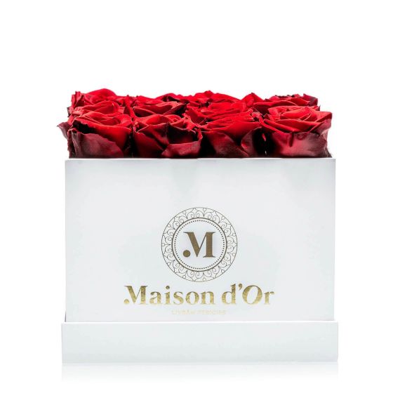 Box of 17 red cryogenic roses