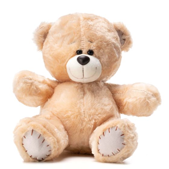 Ursulet de plus Little Teddy 