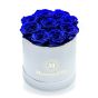 Cutie 9 trandafiri criogenati albastri