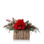 Aranjament floral in cos cu amaryllis		