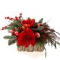 Aranjament floral in cos cu amaryllis		
