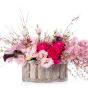 Aranjament floral in cos cu cymbidium si genista