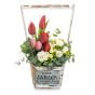 Aranjament floral in cos cu frezii Jolie 			