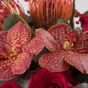 Aranjament floral in cos cu anthurium grena si orhidee 