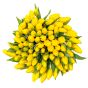Bouquet of 99 yellow tulips