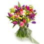 Bouquet of tulips and multicolored freesias