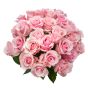 Bouquet of 25 pink roses