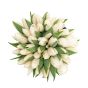 Box of 39 white tulips