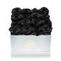 Box of 17 black cryogenic roses