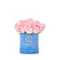 Box of 23 blue roses
