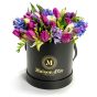 Box of tulips and purple freesias