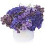 Colectia Desire- Cutie cu matthiola,hortensie si orhidee
