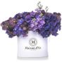 Desire Collection - Box with matthiola, hydrangea and orchids