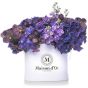 Colectia Desire- Cutie cu matthiola,hortensie si orhidee