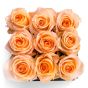 Square box 9 peach roses