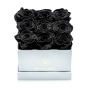 Box of 9 black cryogenic roses