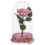 Pink cryogenic rose happy little girl