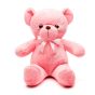 Pink plush teddy bear