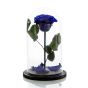 Large electric blue cryogenic rose