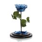 High grade blue cryogenic rose
